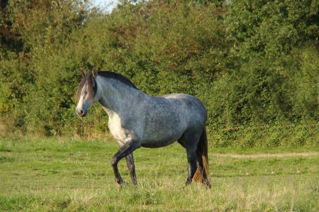 dsc_0008.jpg