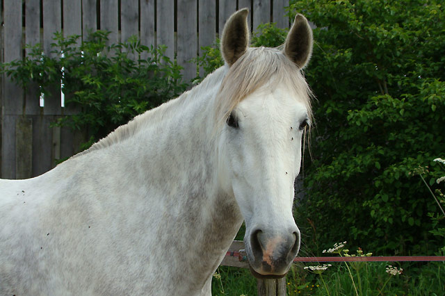 dsc_0025.jpg