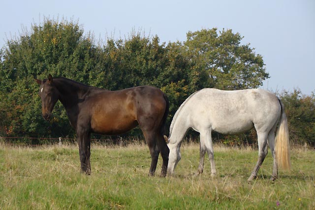 dsc_0031.jpg