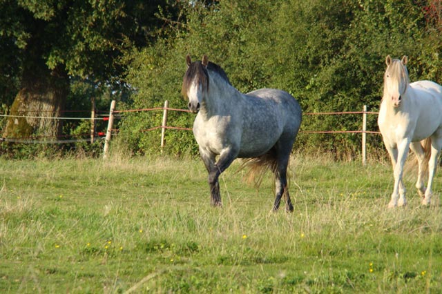 dsc_0032.jpg