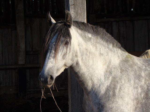 dsc_0058.jpg