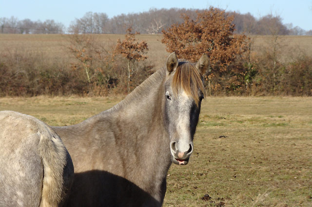 dsc_0064.jpg